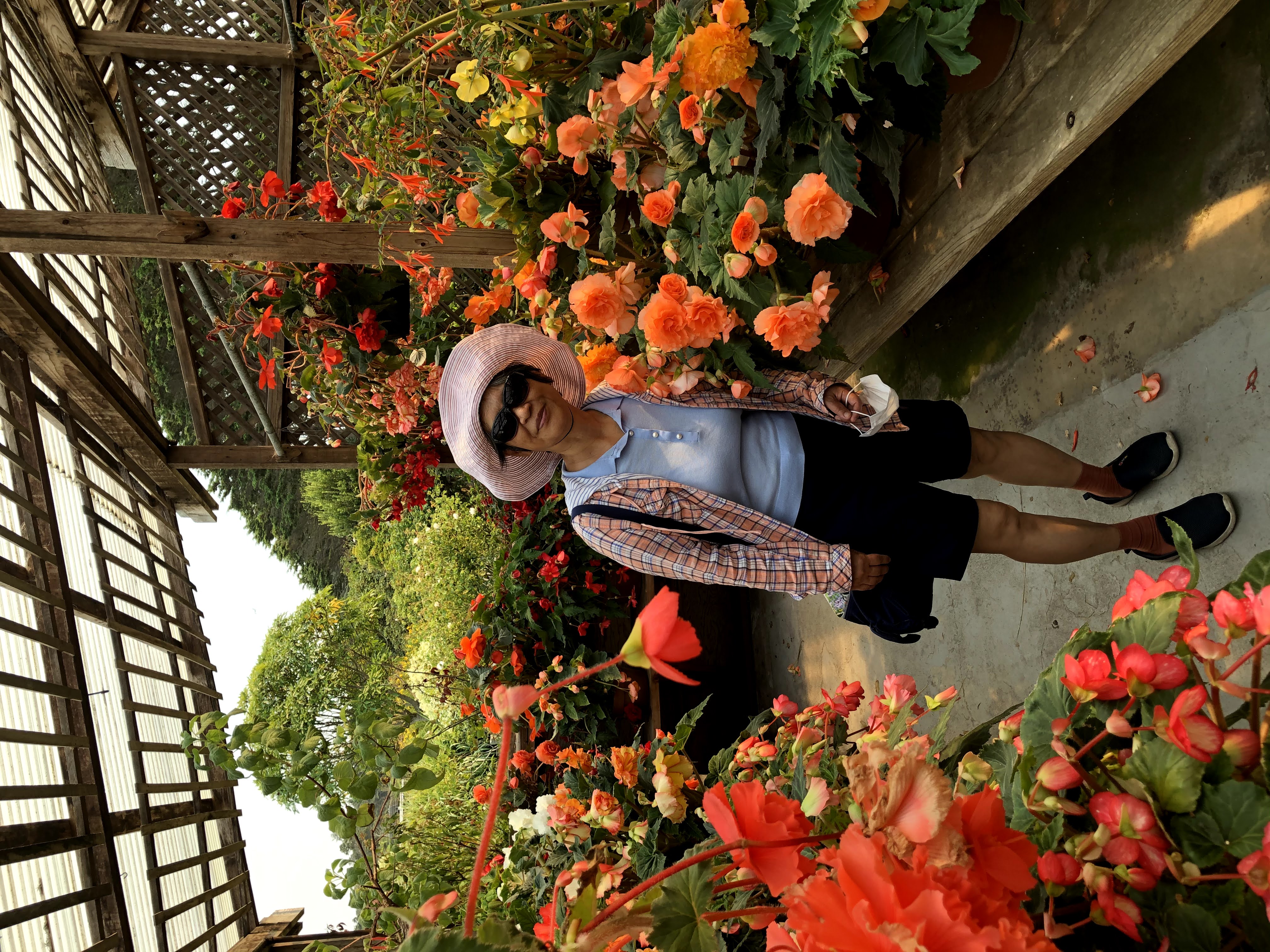 與完全脆弱共處真不容易！／草槑